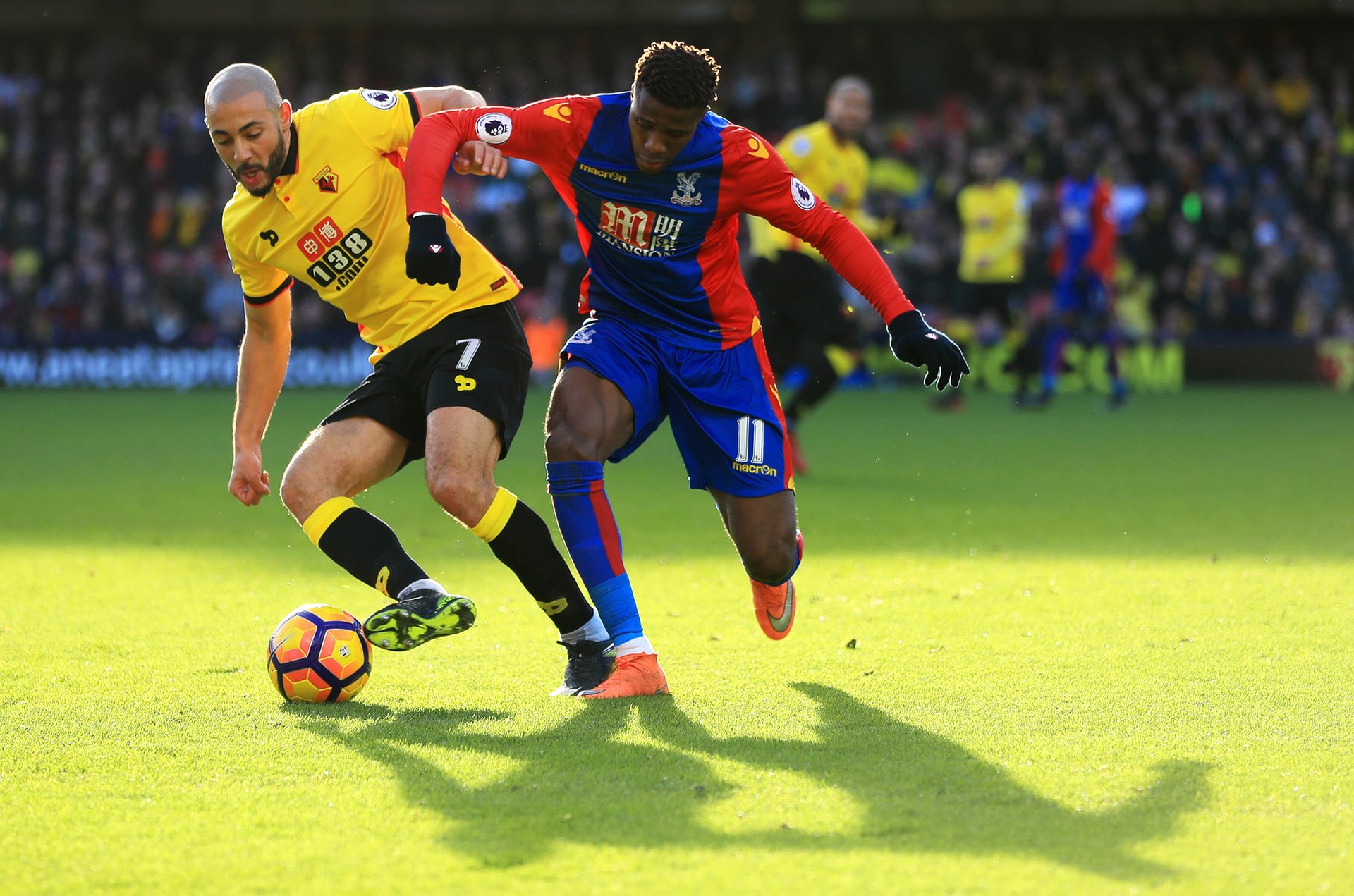 虽然阵容年 虽然阵容年